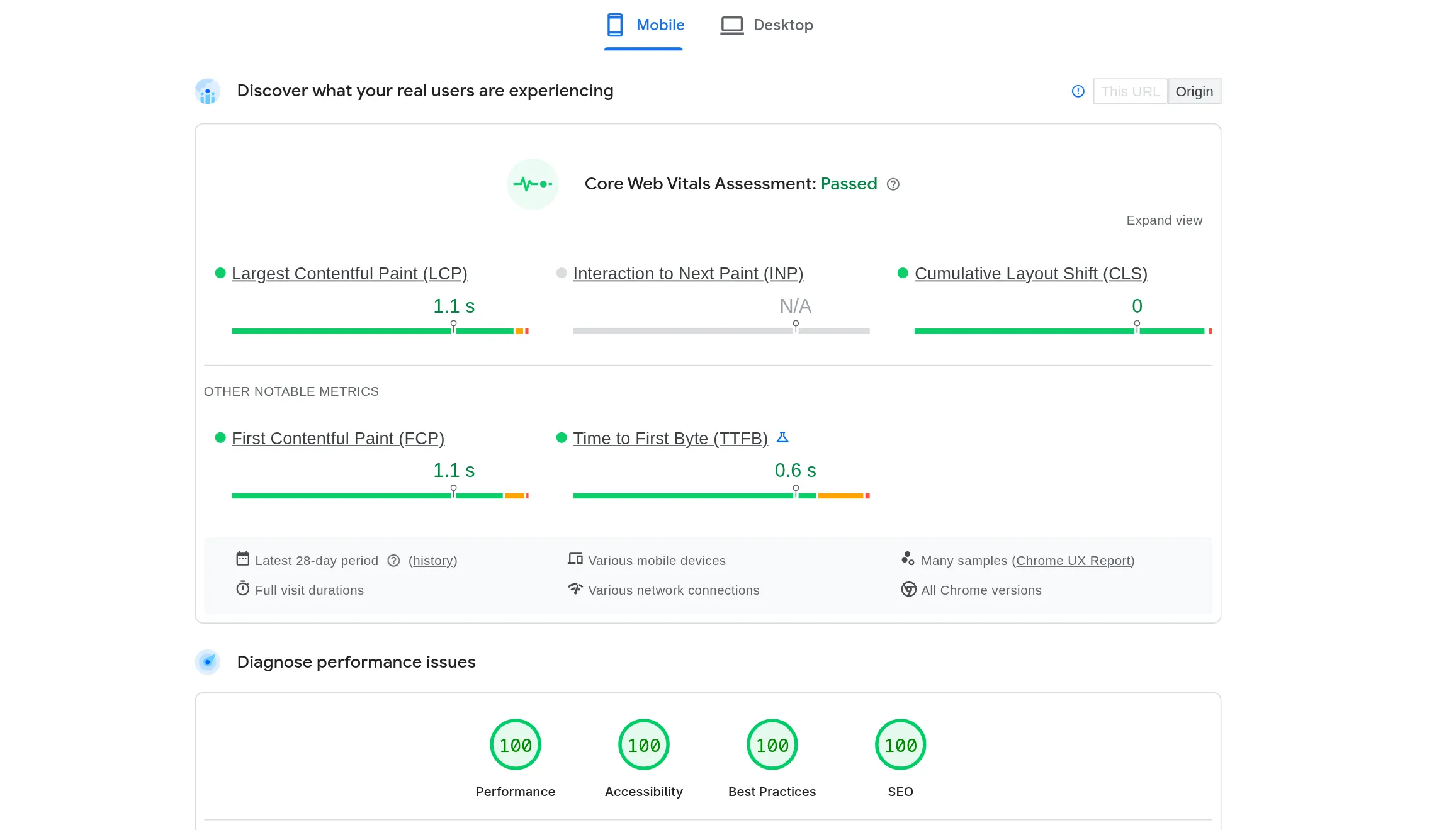 Performance proof for the medical clinic website rebuild.